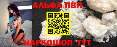 СК Гатчина