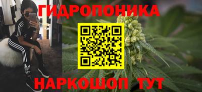 прущий лед Гай