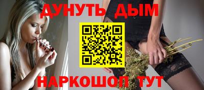 СК Гатчина