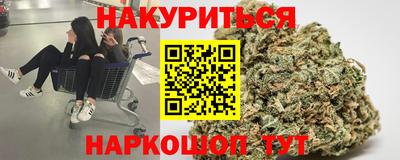 СК Гатчина