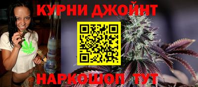 СК Гатчина