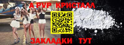СК Гатчина