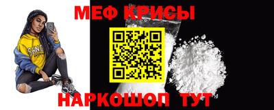 СК Гатчина